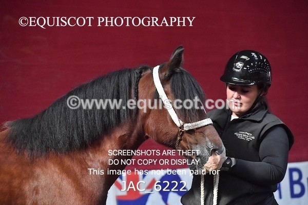 JAC_6222 - 17 Avonmore Little Maeda