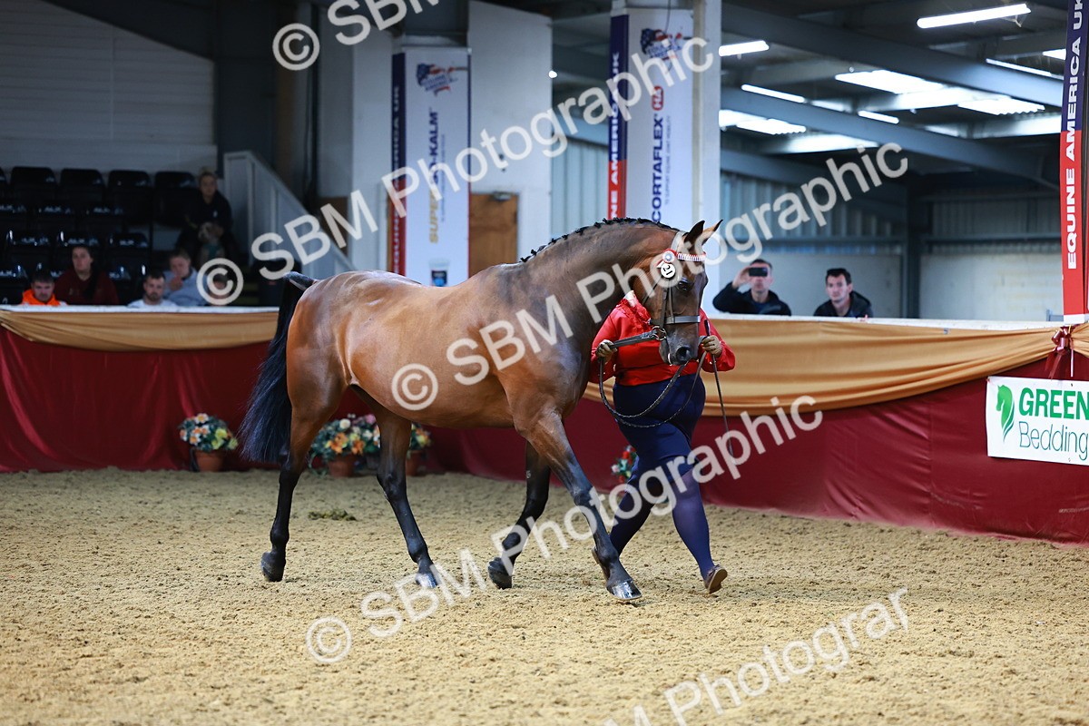 SBM_22333 - Class 902 - Supreme Final - IH Diamond