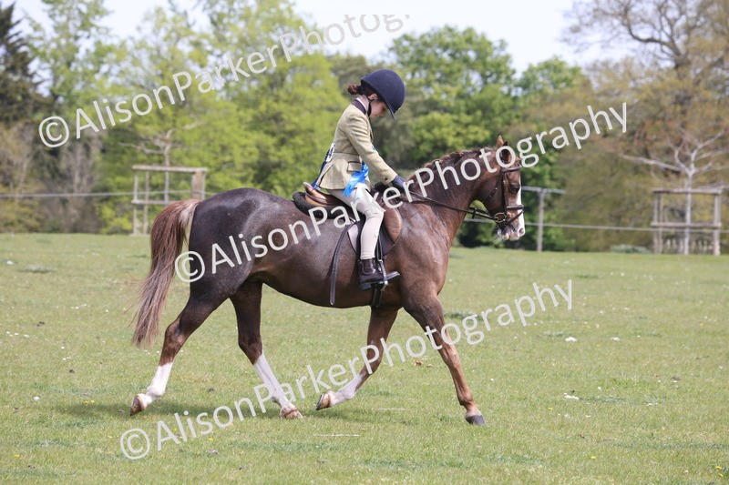 20260426-4090 - Small Pony Championship