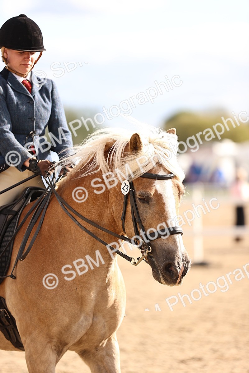 SBM_18226 - Class 423 - Equitation (best rider) Adult
