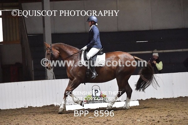 BPP_8596 - NOVICE 4 BD