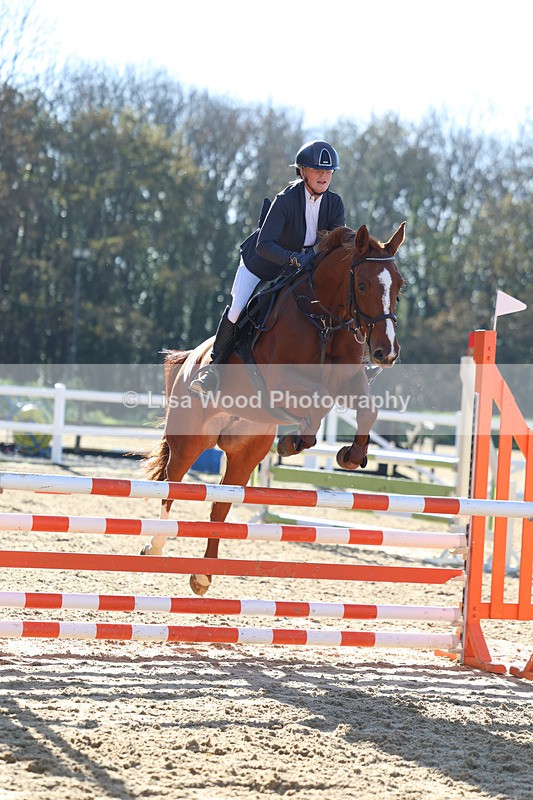 3E7A5444 - Class 4: Senior British Novice/90cm open