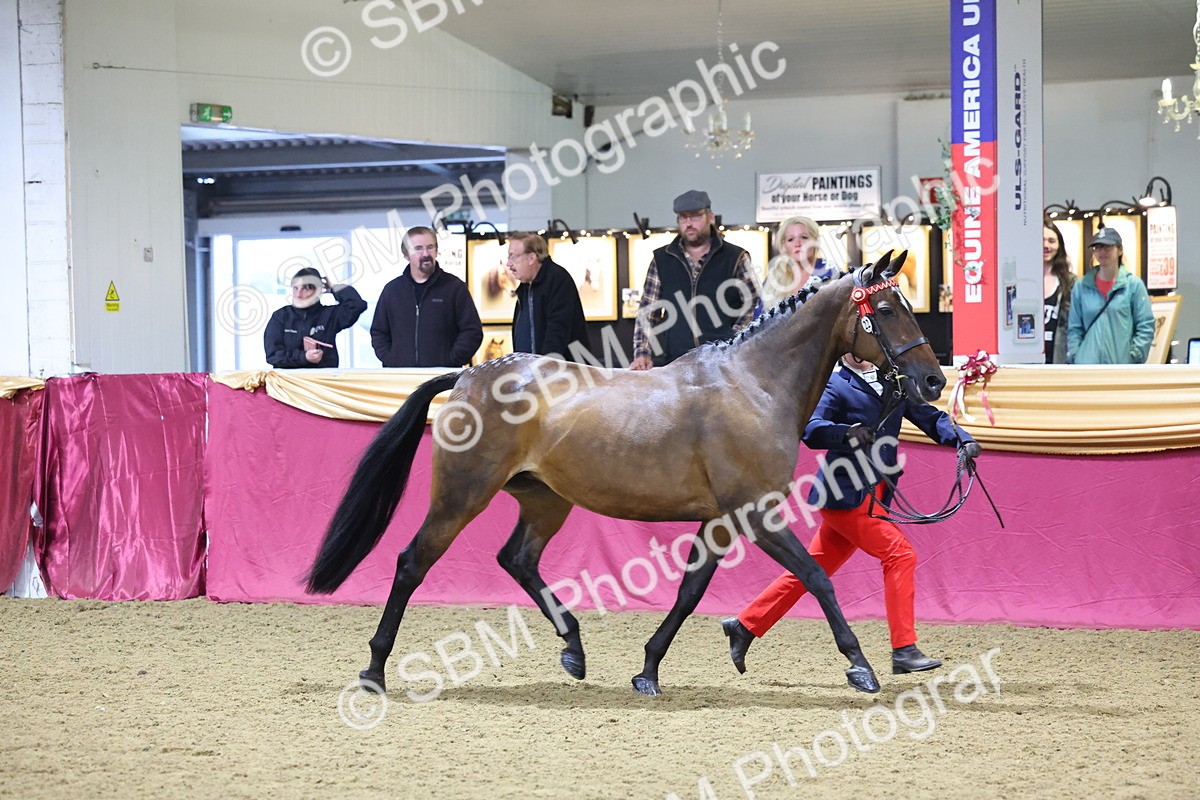 SBM_18932 - Class F Grass Roots Champ