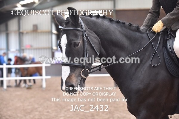 JAC_2432 - CLASS 3 Intermediate Working Hunter