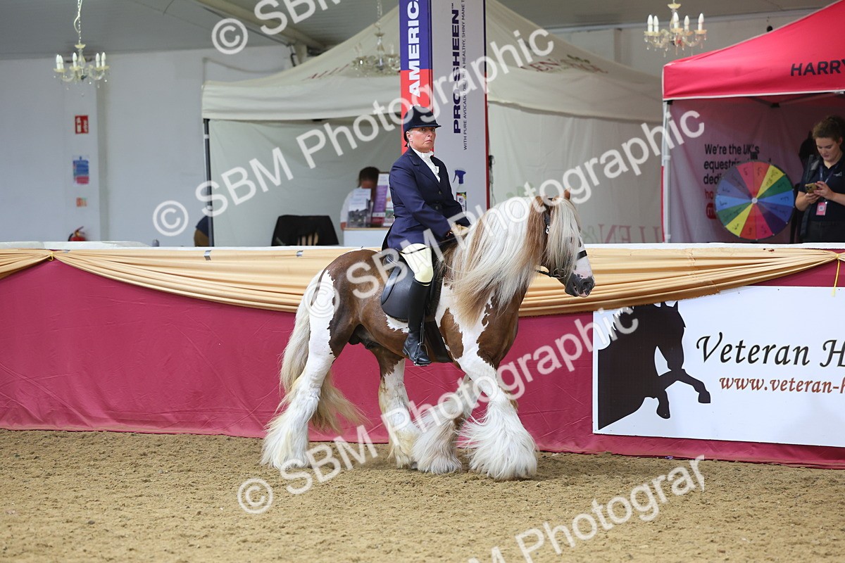 SBM_24477 - Class 906 - Supreme Final - Ridden Pre Vet