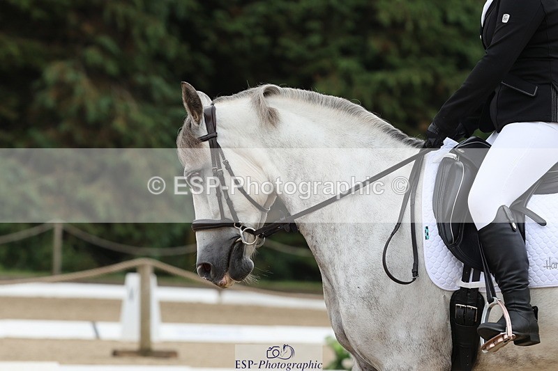 250718A-133955-01580 - 016-Georgia.Shapter-Brackhowney.Jack