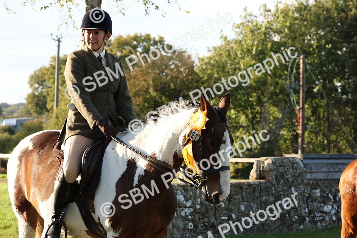 SBM_53104 - S29 - Mature Veteran Ridden