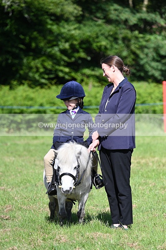 WJ7_0387 - Class 8 First Rally Pony