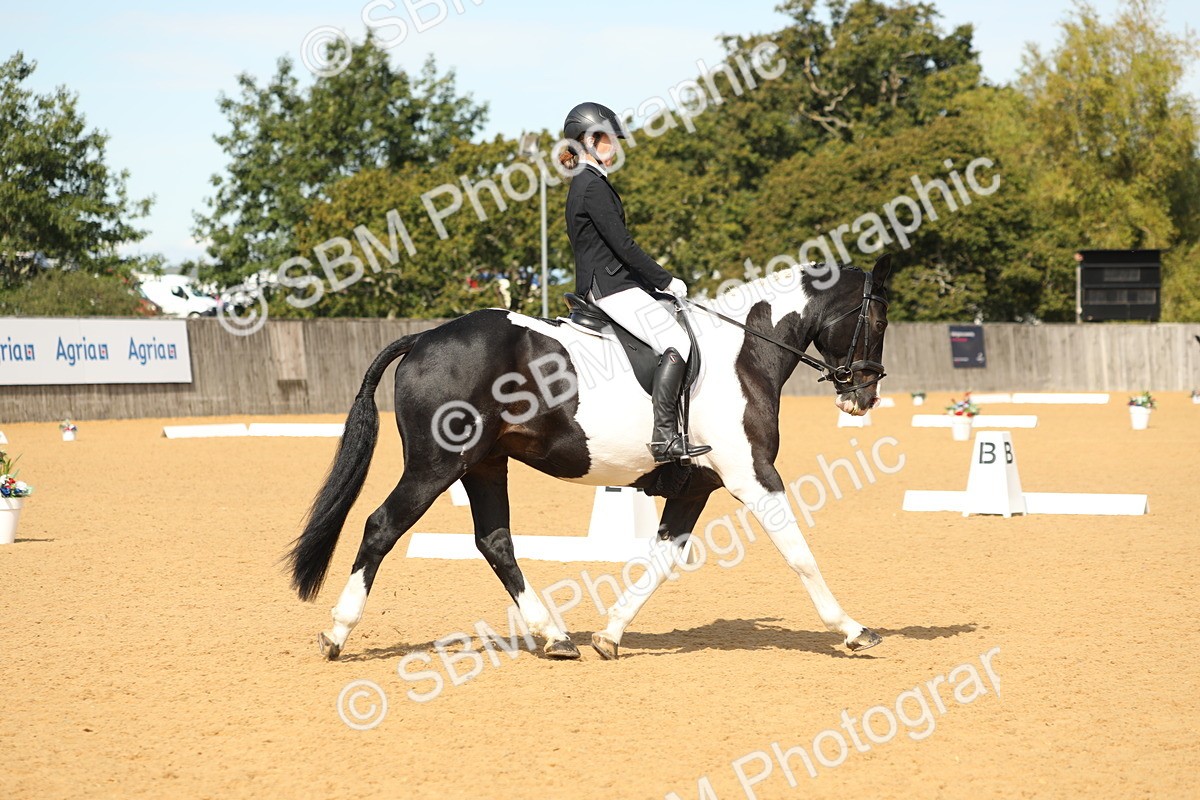 SBM_22178 - D17 - Grand Tour Championship - Novice 27