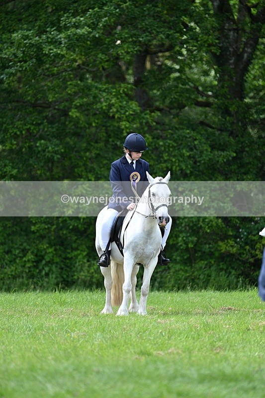 WJ7_2725 - Class 12A Coloured Class