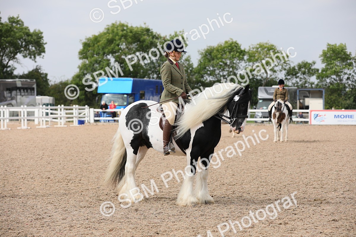 SBM_12792 - Class 307 Ridden Coloured Pony