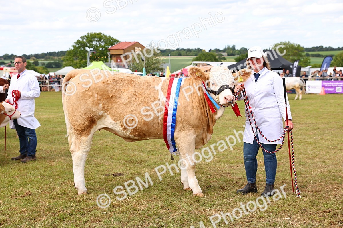 SBM_17082 - Grand Parade