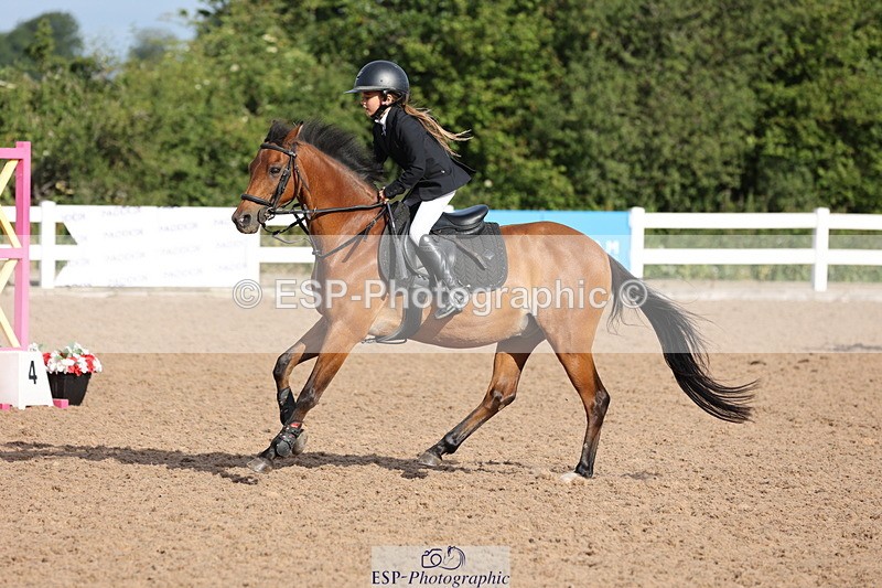 240629A-082505-02541 - Cls 16 British Novice and 80cm Open