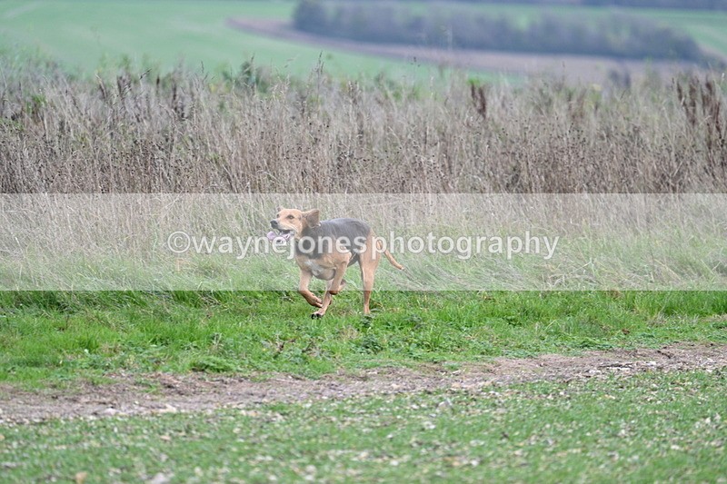 WJ7_2506 - Camera A