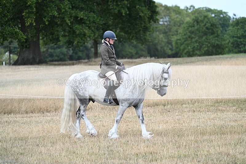 WJ7_5412 - Class 12 Ridden Cob