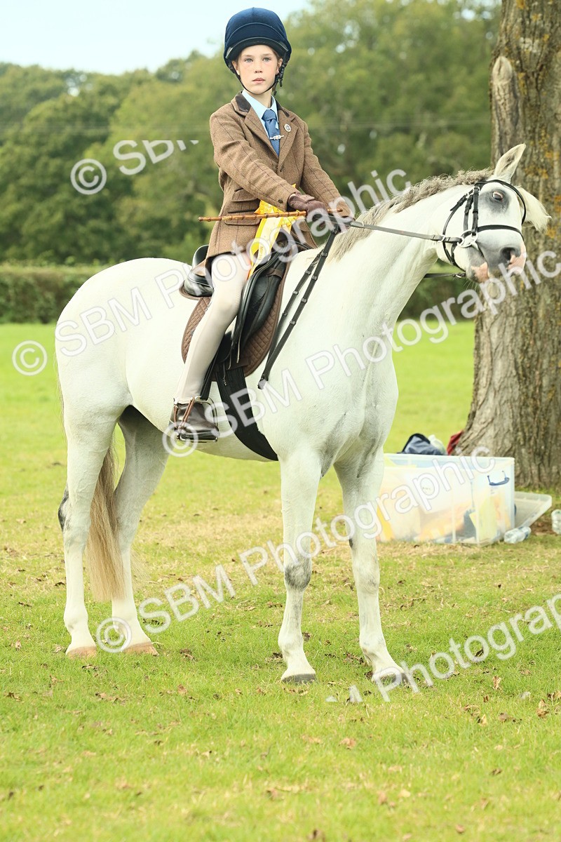 SBM_70047 - S59 - Mountain & Moorland Ridden Small Breeds