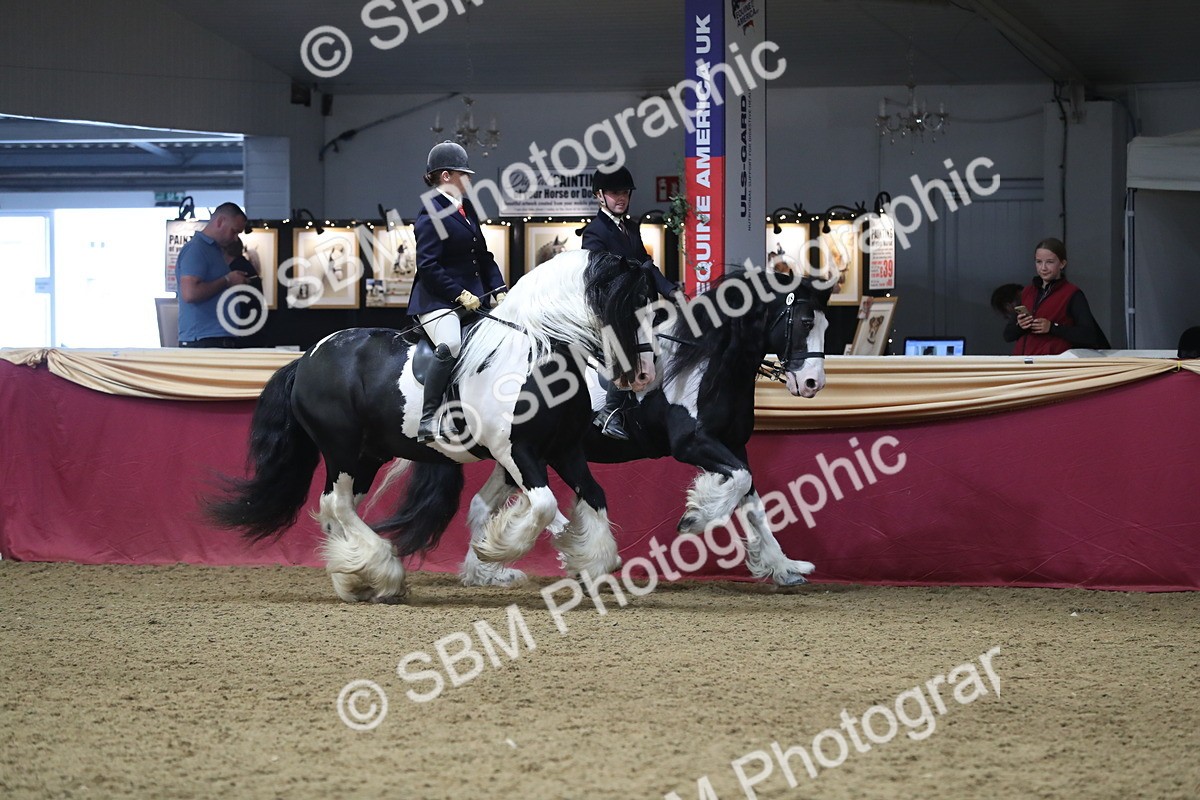 SBM_13668 - Class 109 Ridden Pairs - Section B