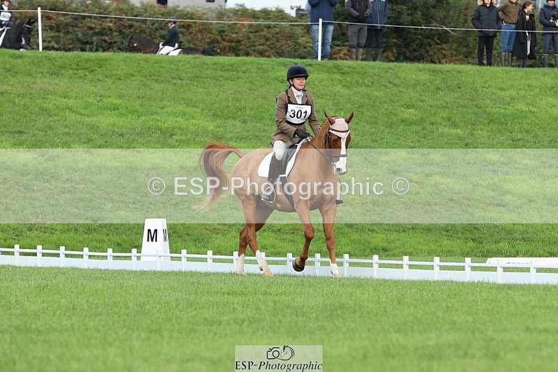 251023A-100040-03005 - D-301-Alison.Stewart