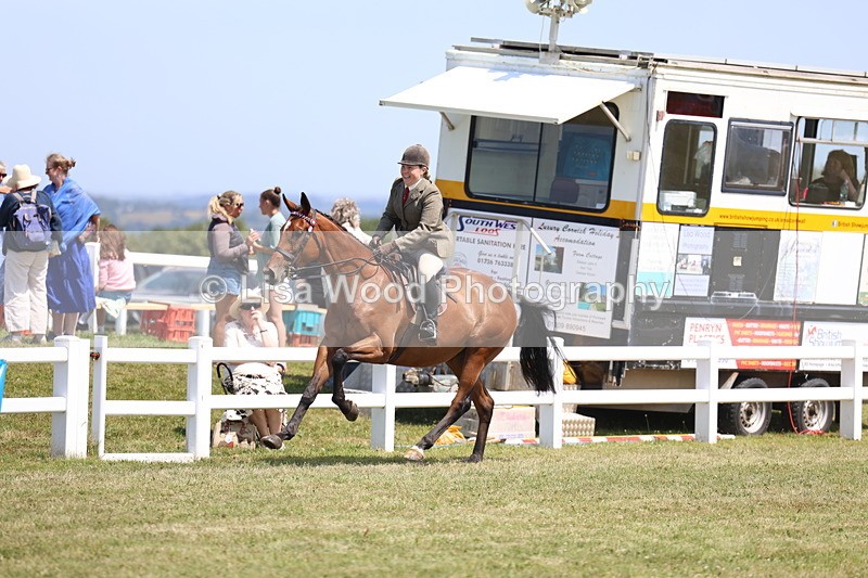 3E7A9363 - Class 12: Open Racehorse to Show Horse