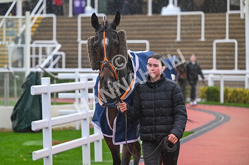141125-Race 1-Knockanore-8675 - Race 1