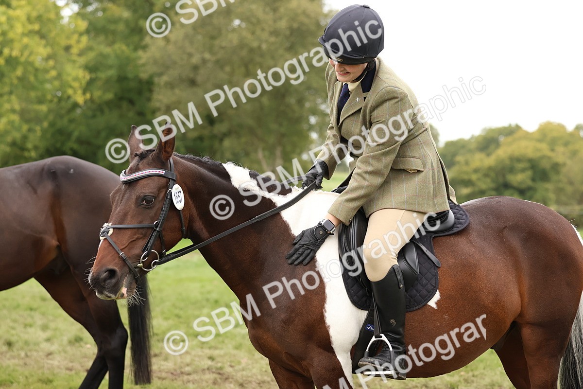 SBM_59948 - S36 - Rehabiliated Rescue Horse & Pony In Hand & Ridden