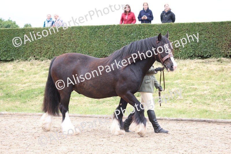 20250524-0618 - Class 7 - Veteran