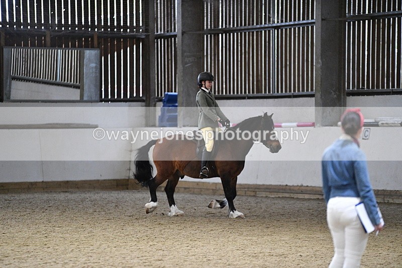 WJ5_8496 - Class 14 Novice Ridden/Rider