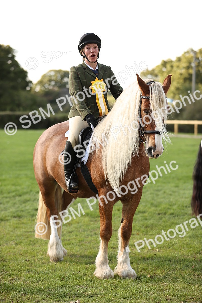 SBM_26482 - S6 - Novice & Newcomers Ridden Horse