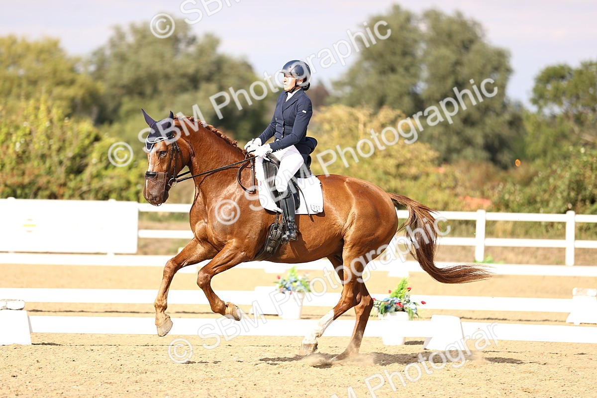 SBM_015510 - Class 11 - FEI PSG