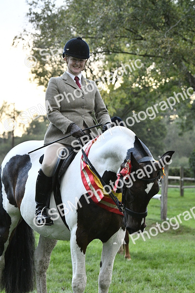 SBM_53342 - S14 - Riding Club Horse