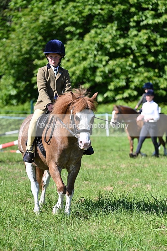 WJ7_0365 - Class 8 First Rally Pony