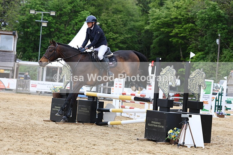 3E7A6467 - Class 4: Senior British Novice/90cm open