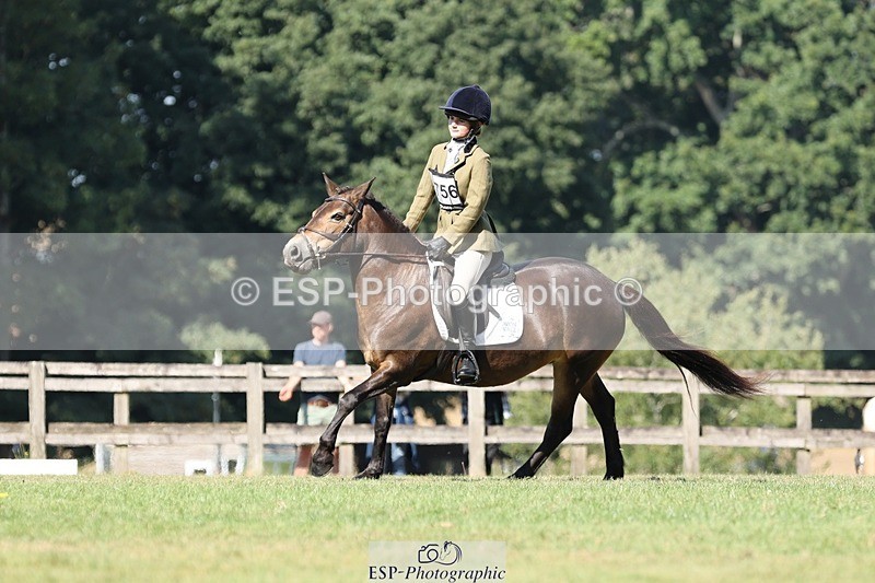 250823A-103305-27727 - Arena D