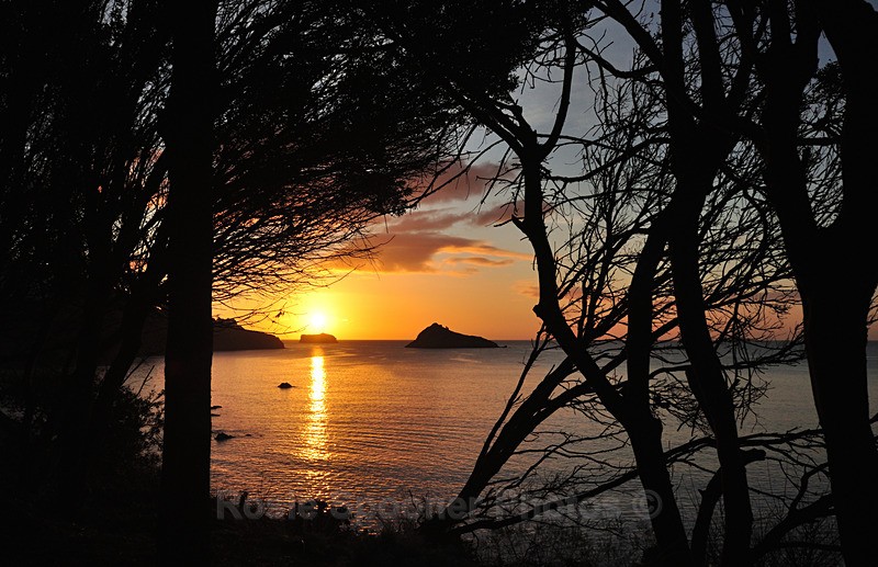 Meadfoot sunrise through the trees - Meadfoot Beach Torquay