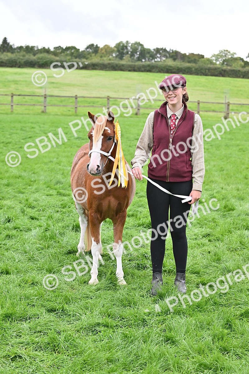 SBM_61067 - S48 - Mountain & Moorland In Hand Small Breeds