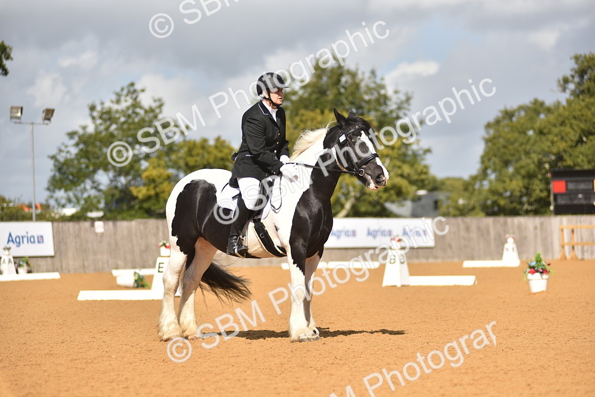 SBM_03396 - D4 - Small Tour Championship Intro 4