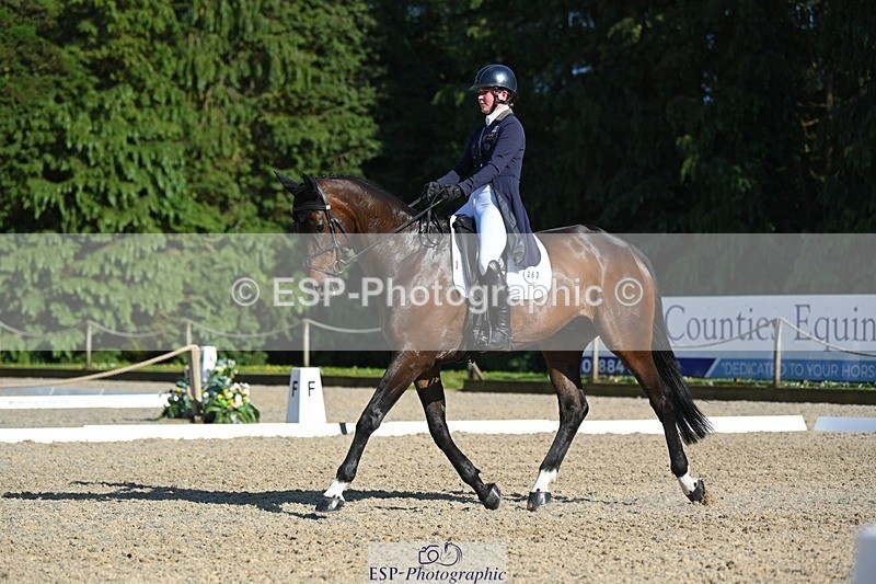 230526-172818-07616 - 263-CARWARTHEN_HARRIER-Polly_Muirhead-WEDTrotUp+DR