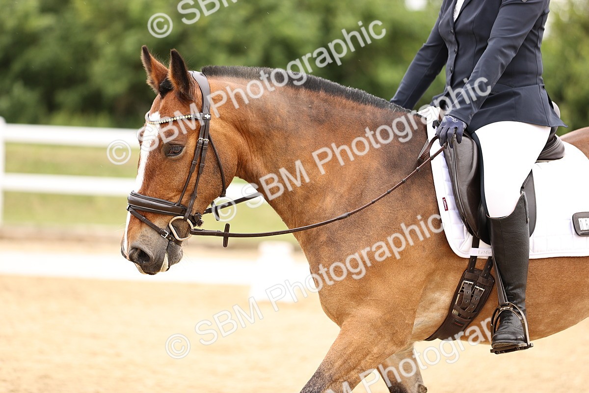 SBM_002823 - Class 2 - Novice 4 - 12.00-13.10