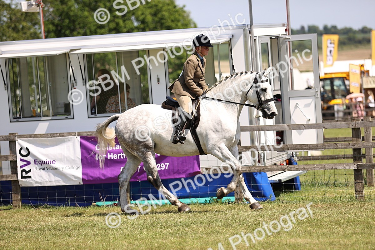 SBM_15067 - Class 79-80 - LIHS BSHA Rising Star Ridden Hunter