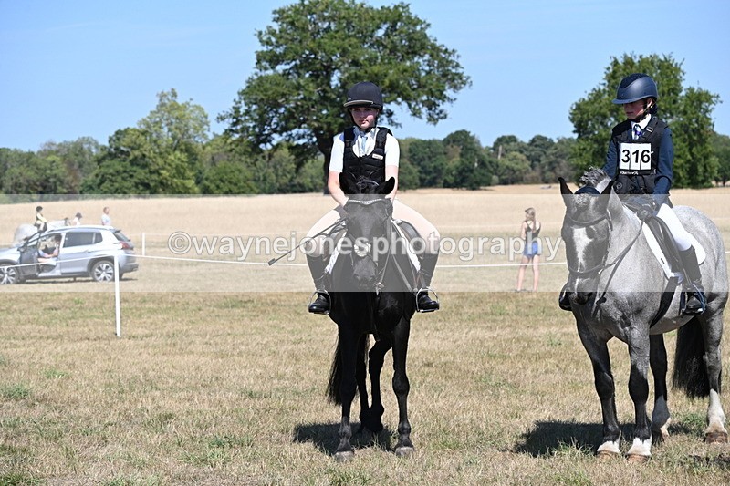 WJ6_8407 - Class 37a Best Loan Pony Ridden