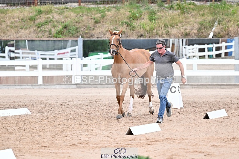250716-164054-00731 - Trot Up 4.30 to 5.00