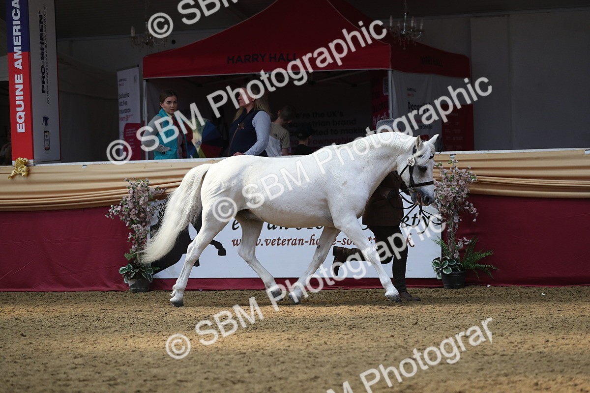 SBM_15246 - Class 501 M&M IH Supreme Final