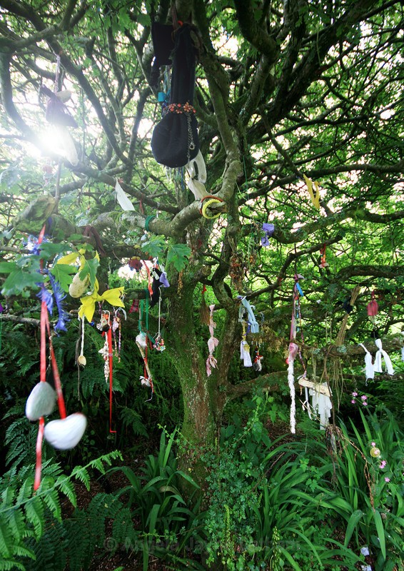 Sancreed Holy Well Offerings - Holy Wells and Sacred Springs
