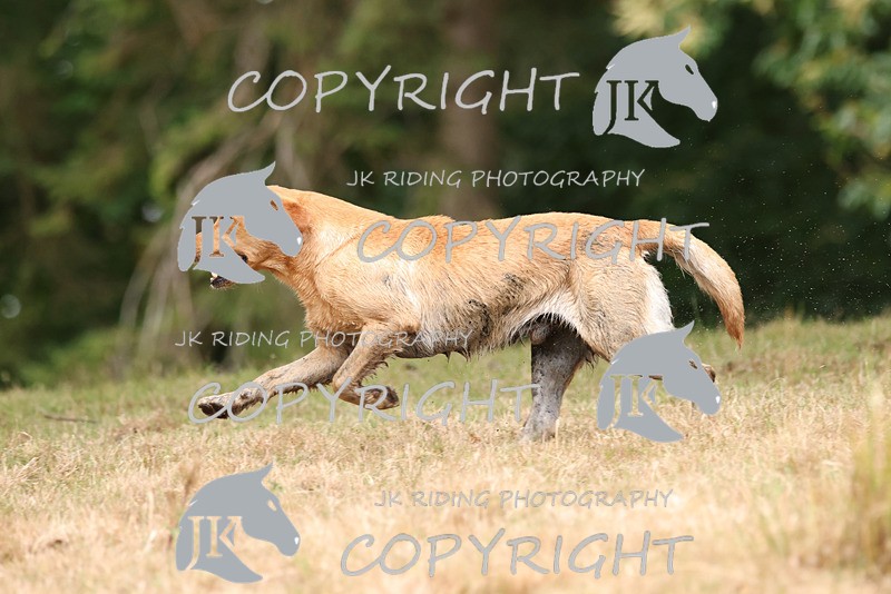 2R6A3552 - ​TEAM A: BORDER COUNTIES & COTSWOLDS 1-2-3