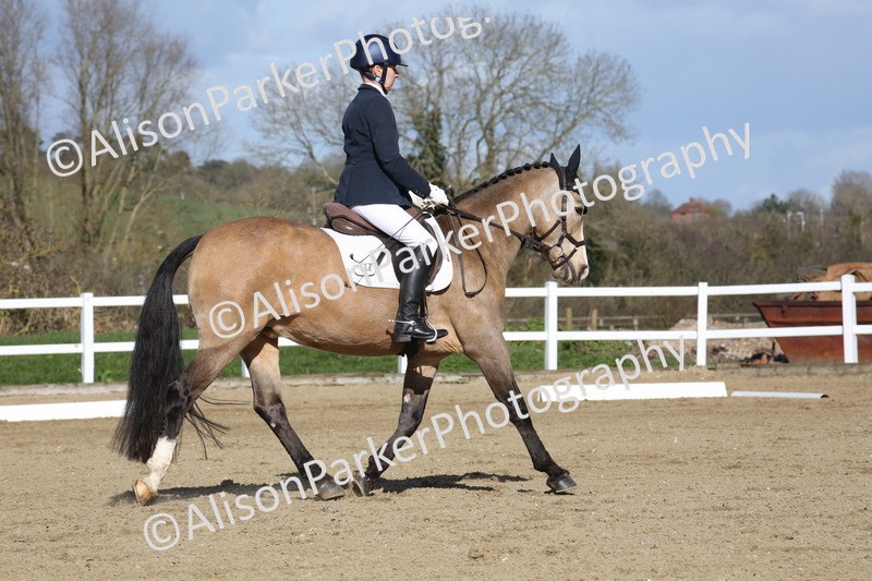 20260314-4254 - DR5 - Novice 1