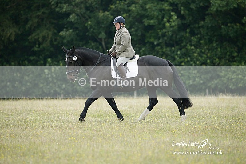BVRC 030721 33 - Bourne Valley Riding Club Dressage 03/07/21