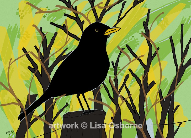 Blackbird - DIGITAL ARTWORK