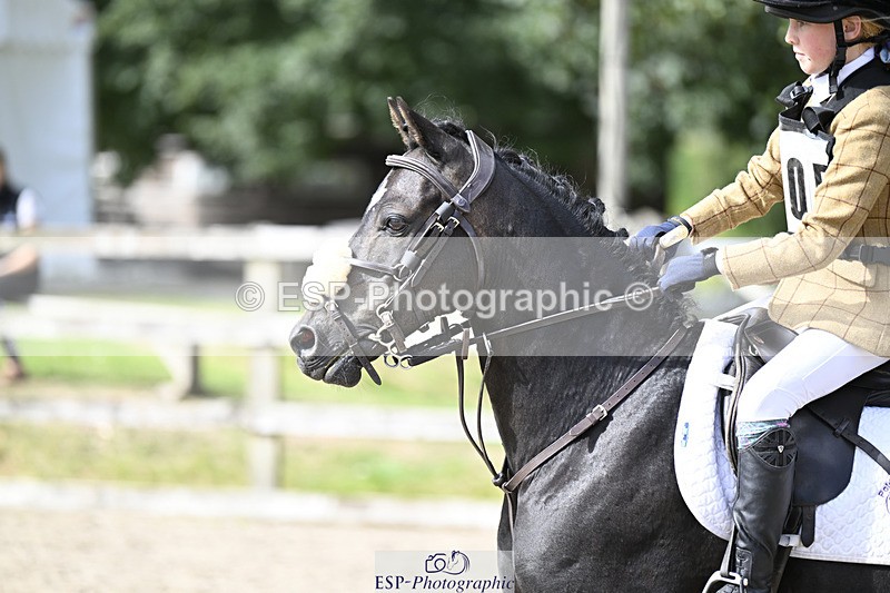 240823X-154623-18872 - 70cm R2 15.20 to 16.40