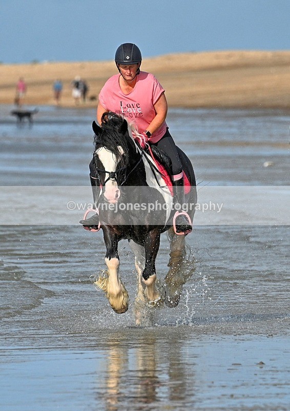 WJ7_4229_1 - Kellie & Churchill ... do Hayling Island 25-08-24