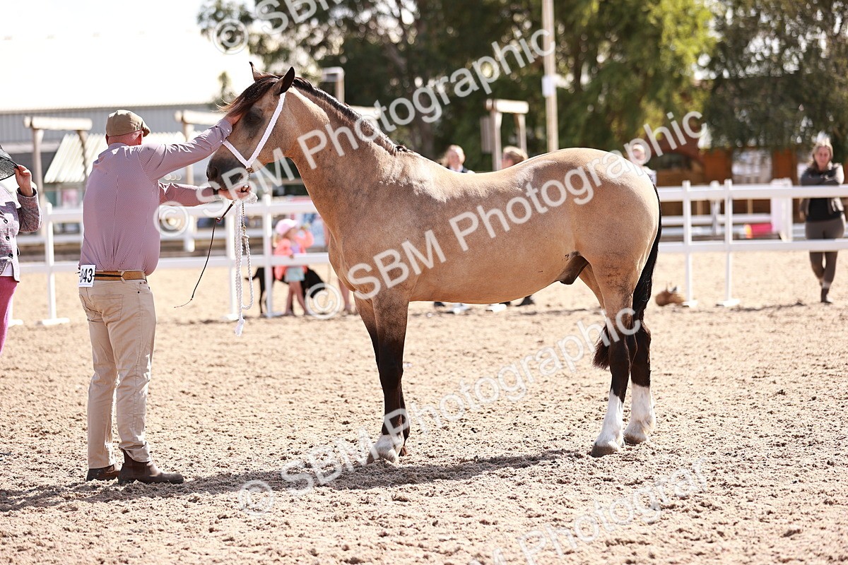 SBM_22985 - Class 707 - IH groom Helpers Class